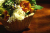 photo2